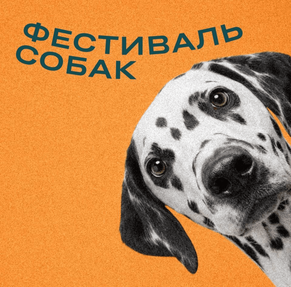 Забег с собаками в Мега Парке