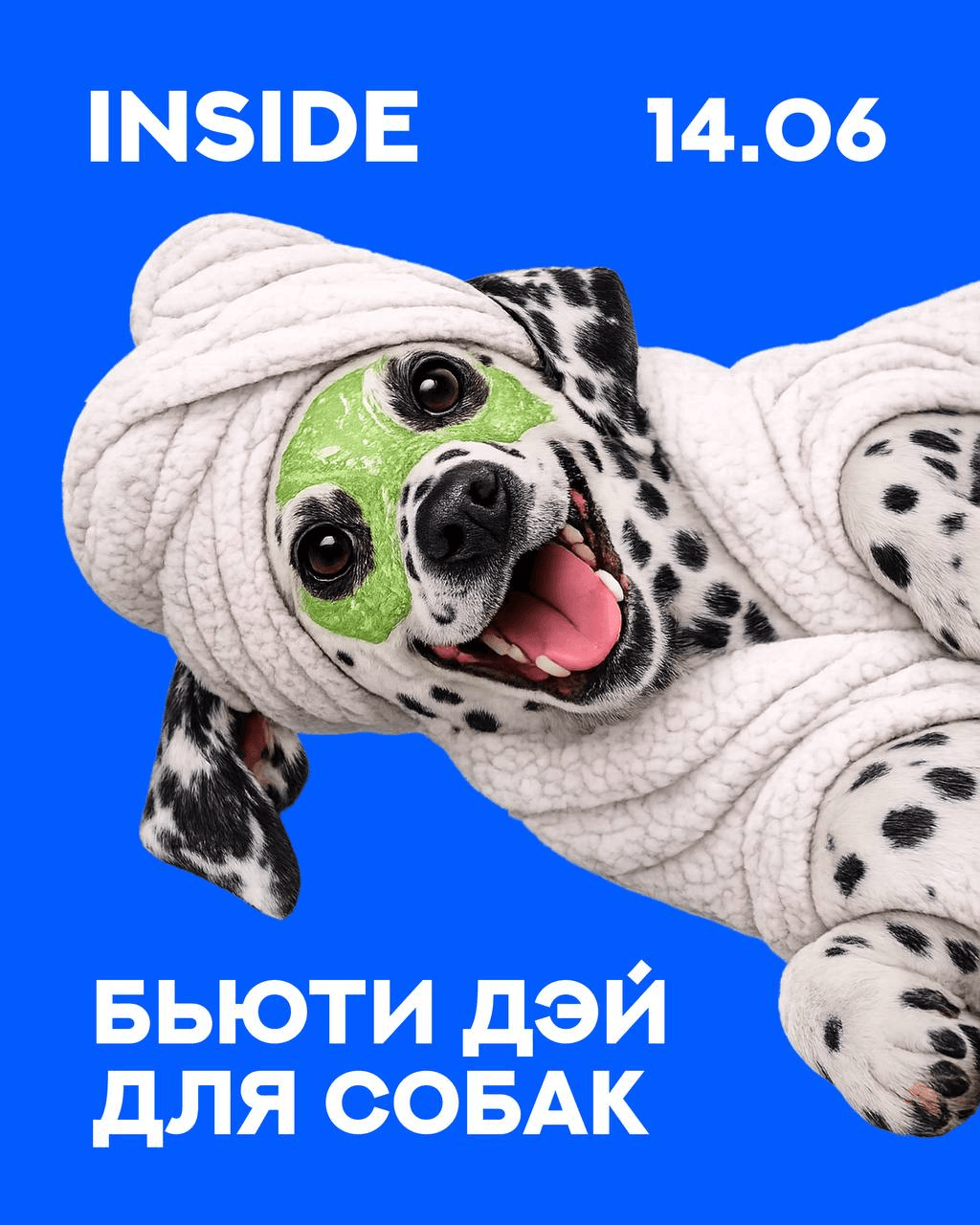 Благотворительный бьюти-дэй для собак в INSIDE